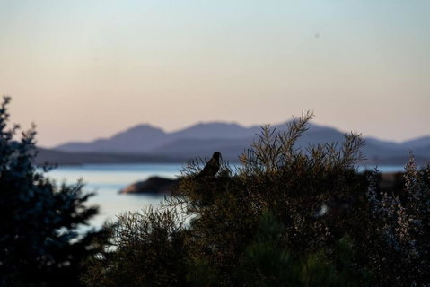 Faraway On Flinders Island - Tourism Noosa 4