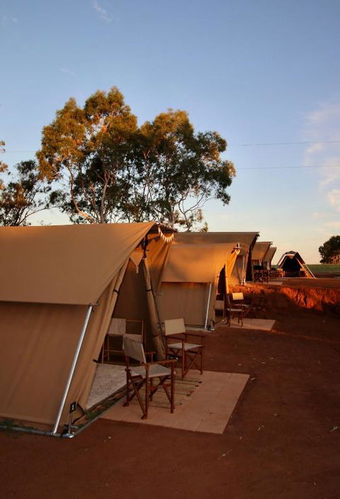 Glamping At Buckland Estate - Tourism Noosa 1