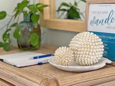 HAPPY DAZE - Tourism Noosa 3