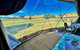 Hillview Farmstay - thumb 2