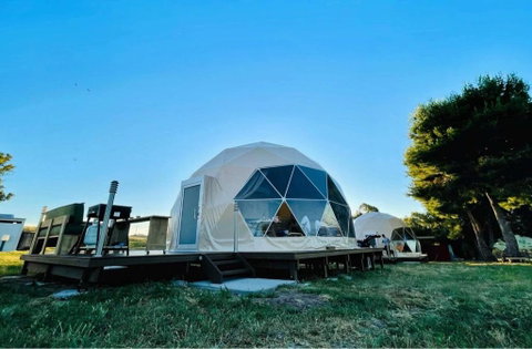 Hillview Farmstay - Tourism Noosa 3
