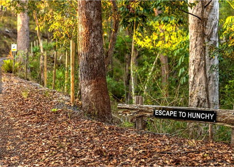 Hunchy Escape - Tourism Noosa 3