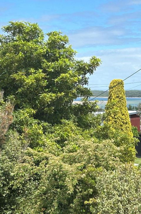 Iconic Beach House On Bruce - Tourism Noosa 1