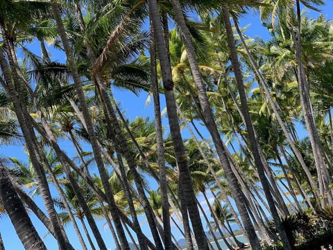 IMPORTANT MESSAGE This Property Is Not Currently Available For Holiday Letting - Tourism Noosa 1