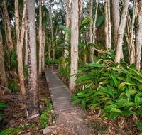 Agnes Palms Accommodation - Tourism Noosa