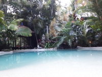 Book Eudlo Accommodation Vacations Tourism Noosa Tourism Noosa