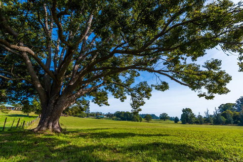 All About Me B & B - Tourism Noosa 2