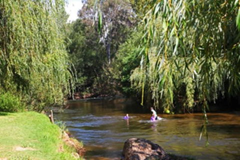 Alpine Park Riverside Cottages - Tourism Noosa 3