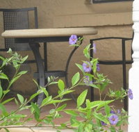 Amalie Cottage Waikerie - Tourism Noosa