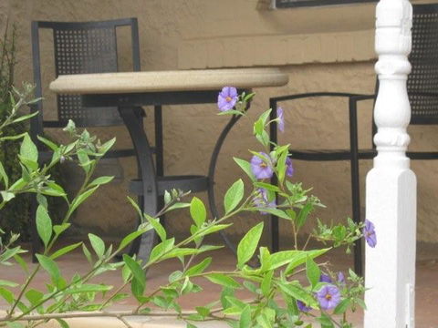 Amalie Cottage Waikerie - Tourism Noosa 0