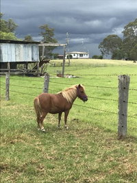 AMs Farm Stay