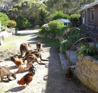 Anchorage Apartments - Tourism Noosa