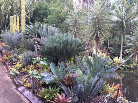 Ancient Gardens Guesthouse & Botanical Gardens - Tourism Noosa 2