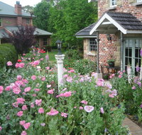 Annie's cottage - Tourism Noosa