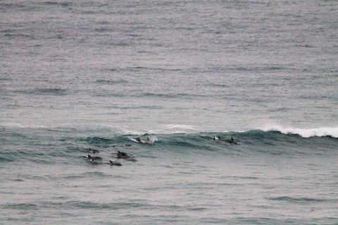 Apartment On King Street - Tourism Noosa 1