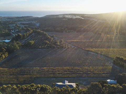 Arimia Estate Guesthouse - Tourism Noosa 1