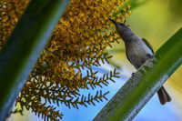 Book Karumba Accommodation Vacations Tourism Noosa Tourism Noosa