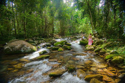 Misty Mountains Hideaway - Tourism Noosa 0