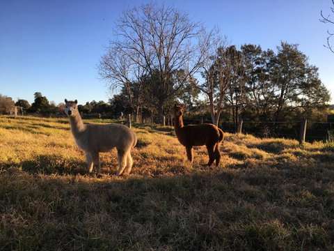 Muswellbrook Northside Bed & Breakfast - Tourism Noosa 0