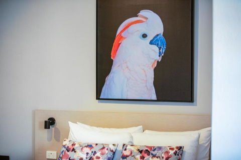 Nightcap At The Charles Hotel - Tourism Noosa 3