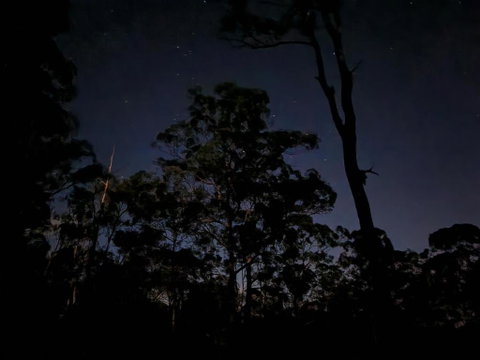 Oakey Creek Country Retreat Kenilworth - Tourism Noosa 3