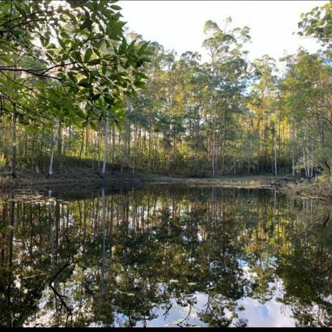 Oakey Creek Country Retreat Kenilworth - Tourism Noosa 2