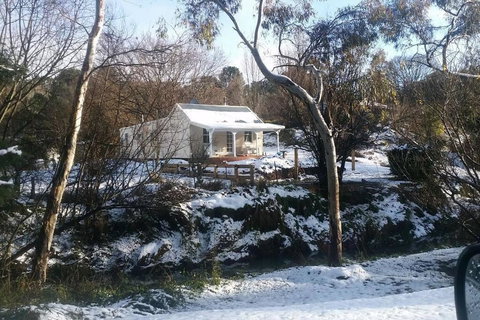 Old Oak Tree Cottage - Tourism Noosa 1