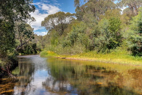 On The River, Porepunkah - Bright VIC - Tourism Noosa 3