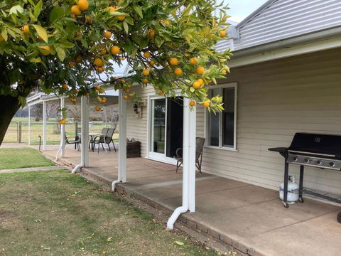 Orange Tree Cottage - Tourism Noosa 0
