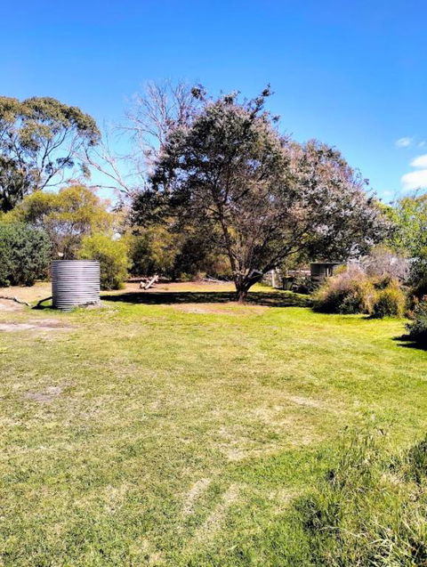 Peaceful Pet Friendly 1 Bedroom Cottage On 1 Acre - Tourism Noosa 3
