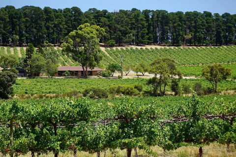 Picturesque Vineyard Farmhouse Nestled On 40-Acres - Tourism Noosa 0
