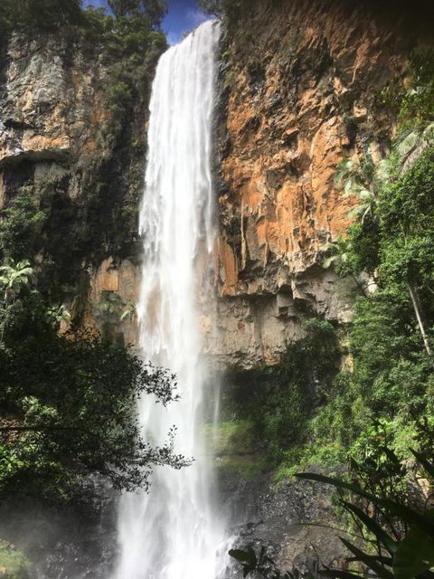Purling Brook Falls Gwongorella - Tourism Noosa 1