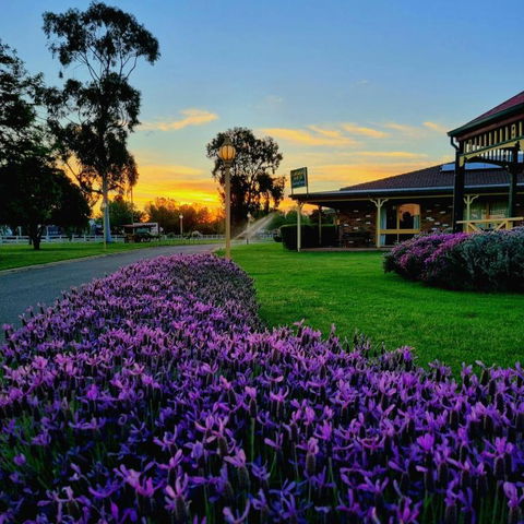 Quality Inn Carriage House - Tourism Noosa 1