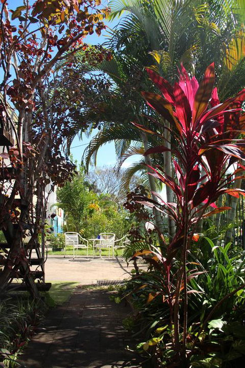 Asylum Cairns Hostel - Tourism Noosa 0