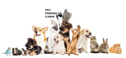 Australian Motor Homes Tourist Park - Tourism Noosa 1