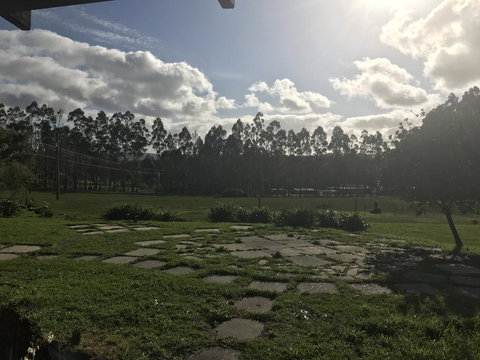 Avvara - Tourism Noosa 3