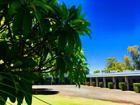 Book Saint George Accommodation Vacations Tourism Noosa Tourism Noosa