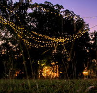 Banyan Tree - Tourism Noosa
