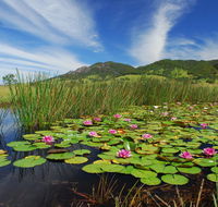 Barrington Hideaway- River Cottages - Tourism Noosa