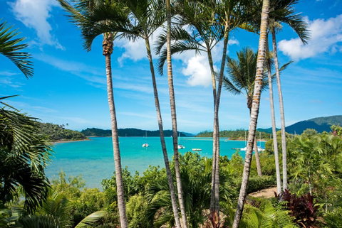 Baybliss Apartments Studio 1 - Tourism Noosa 2