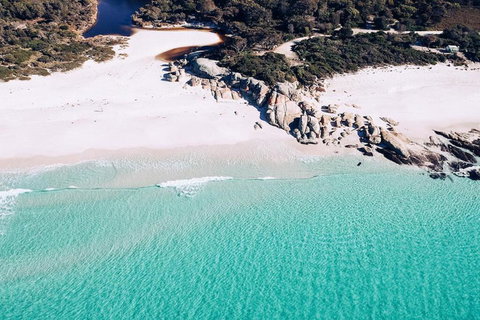 Beach Side Bay Of Fires - Tourism Noosa 2