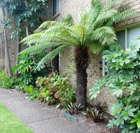 Beachfront Apartments - Tourism Noosa