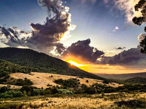 Roam Merrijig - Luxury Stay With Mountain Views - Foothills Of Mt Buller - Tourism Noosa 1