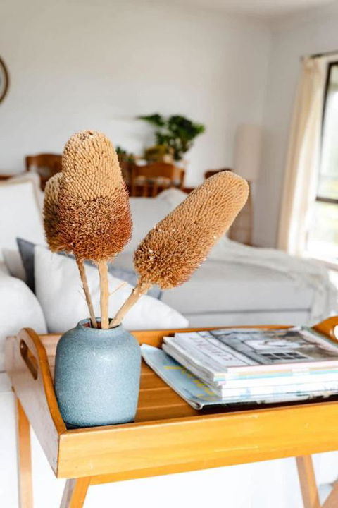 Salt Bush Cottage Peterborough - Tourism Noosa 1