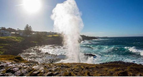 SALTY PALMS -Seaside Studio Apartment - Tourism Noosa 2