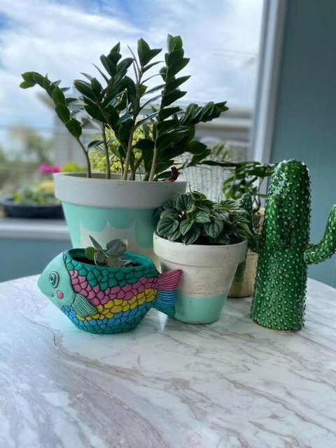 Salty Paws Dog Friendly Luxe Cottage - Tourism Noosa 2