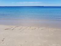 Beachside Husky - Waterfront