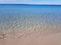 Beachside Husky Waterfront Cabin