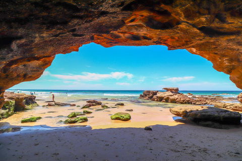 Beachside Oasis - Tourism Noosa 1