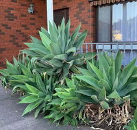Beautiful Bedroom in Bentleigh East - Tourism Noosa